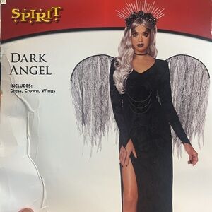 Dark Angel adult costume. All parts included.  Plus I am adding a long hair wig
